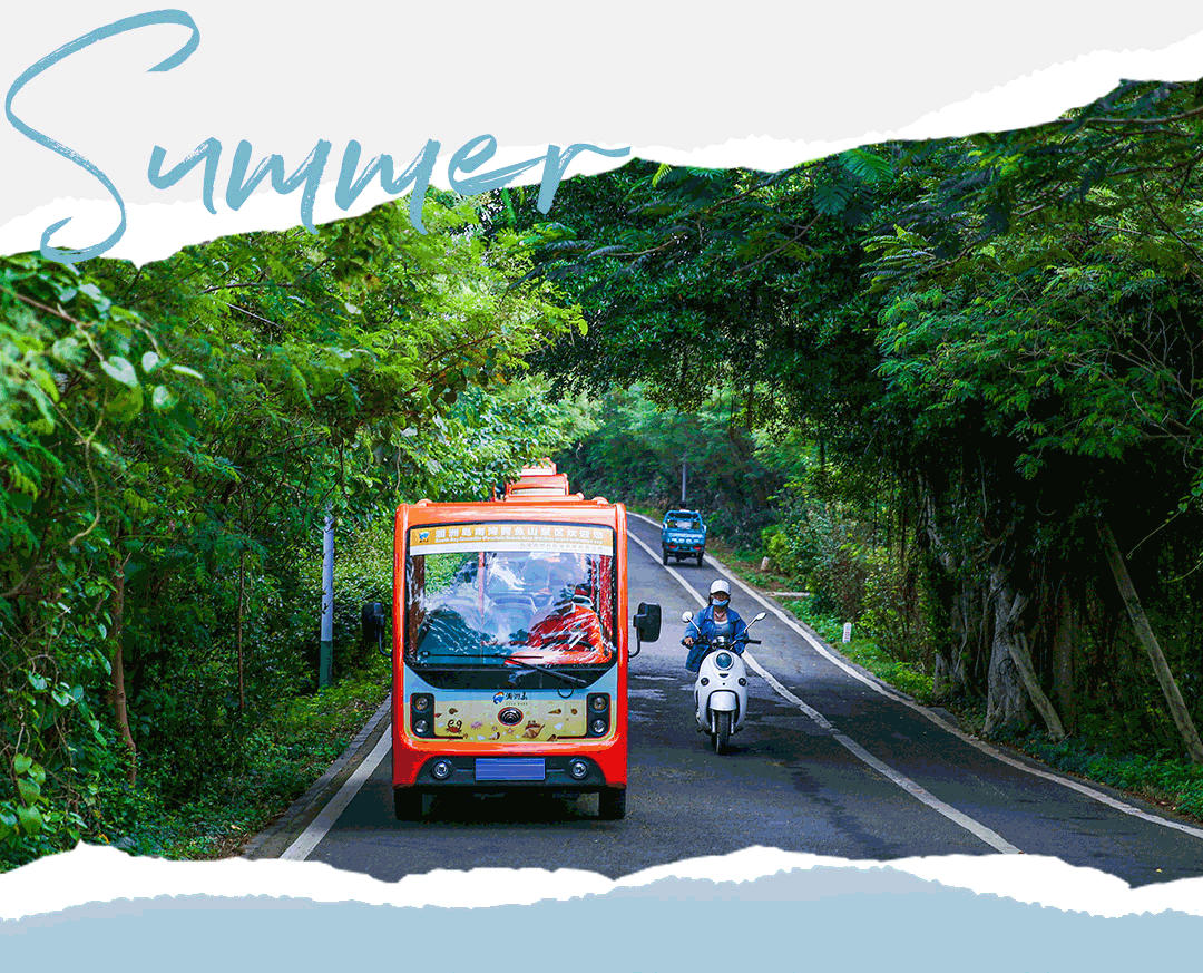 大比拼！这些个性十足的观光车，你乘坐过几个？