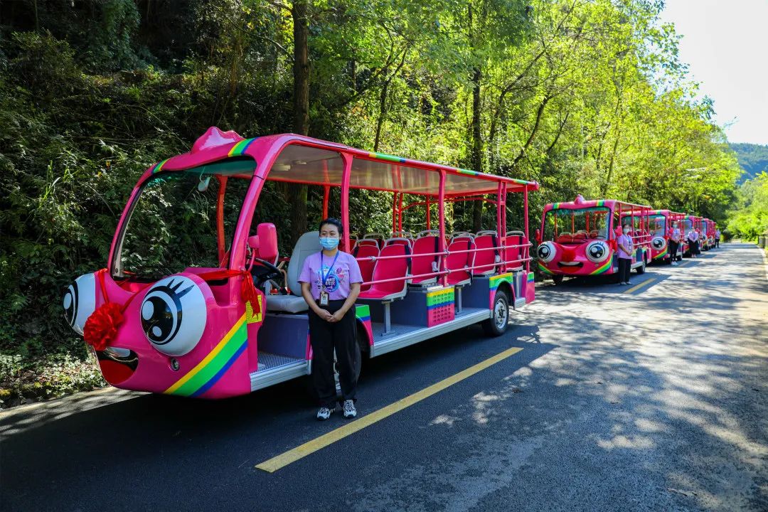 你能想象驾驶景区观光车有多“简单”？！