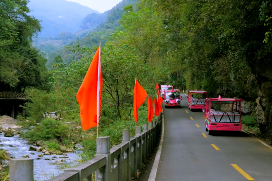 你能想象驾驶景区观光车有多“简单”？！