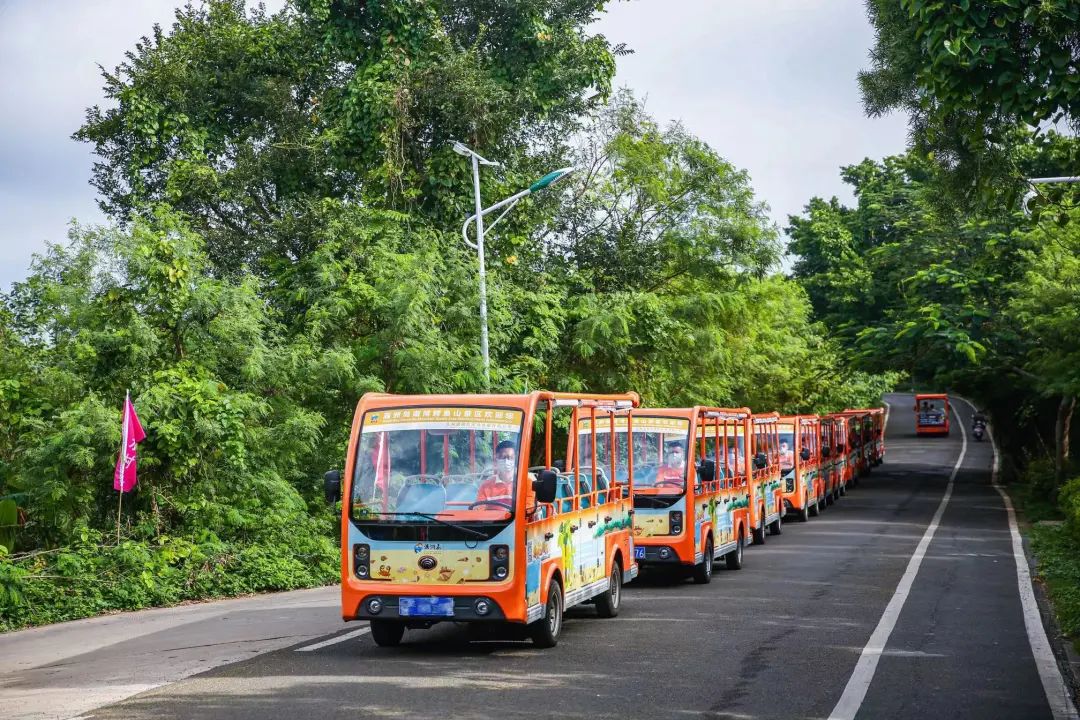 你能想象驾驶景区观光车有多“简单”？！