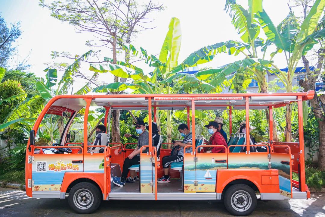 你能想象驾驶景区观光车有多“简单”？！