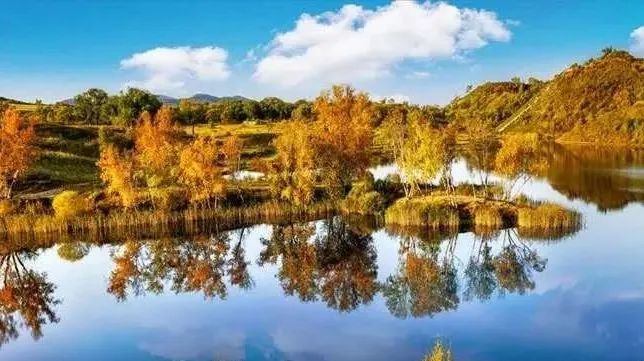 只看一眼就“沦陷”，这个秋天，来多伦湖邂逅第一波秋色！