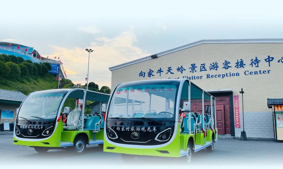 在工位上看春天，是宇宙级的浪漫