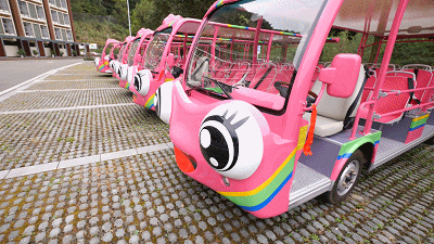 五大热门景区真实运营揭秘，看看客户为何选择赢多多观光车？