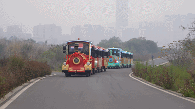 五大热门景区真实运营揭秘，看看客户为何选择赢多多观光车？