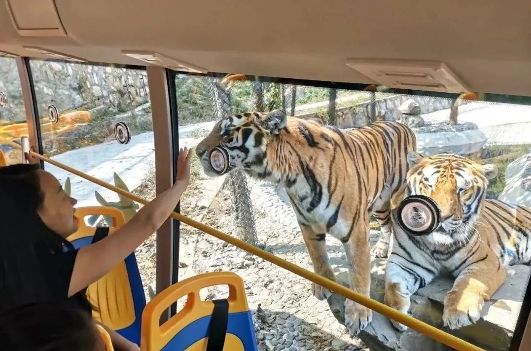 所有郑州人免费了！赢多多观光车带你嗨玩竹海野生动物园！