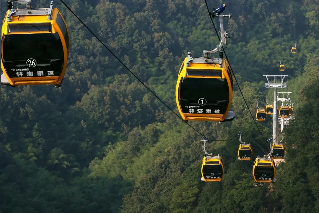 所有郑州人免费了！赢多多观光车带你嗨玩竹海野生动物园！