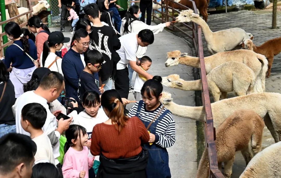 所有郑州人免费了！赢多多观光车带你嗨玩竹海野生动物园！