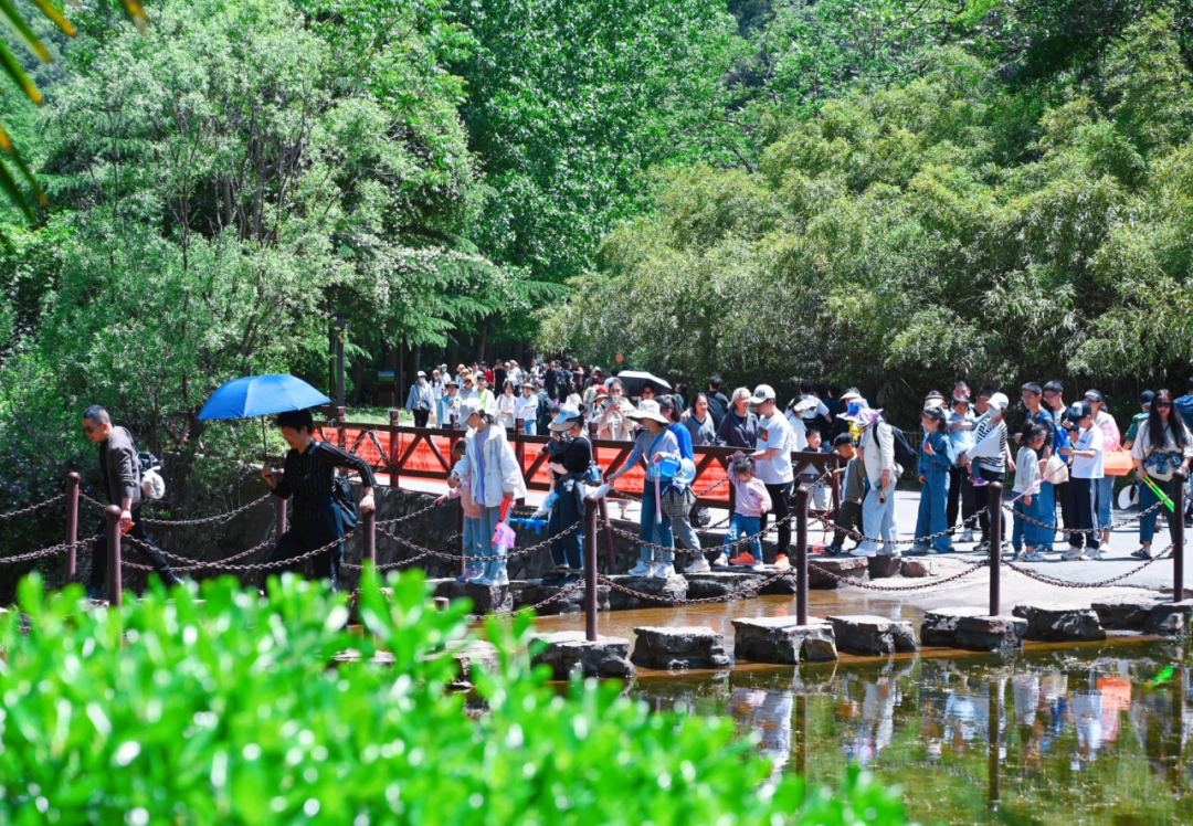 2024年“五一”假期旅游数据出炉，旅游市场呈现新趋势！