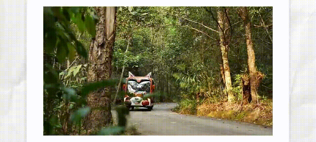 赢多多“小熊猫”观光车驶入普洱太阳河森林公园，共筑生态文旅新图腾